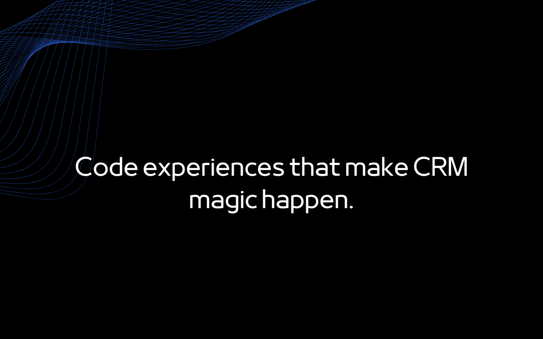 Salesforce Application Developer